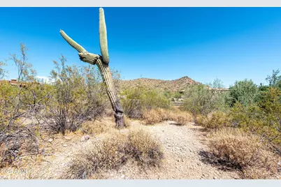 4782 S Pura Vida Way #1, Gold Canyon, AZ 85118 - Photo 12