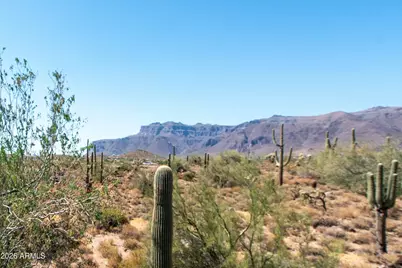 4782 S Pura Vida Way #1, Gold Canyon, AZ 85118 - Photo 6