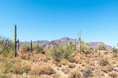 4782 S Pura Vida Way #1, Gold Canyon, AZ 85118 - Photo 20
