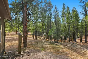 2381 Blue Ridge Dr, Happy Jack, AZ 86024 - Photo 2