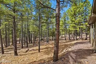 2381 Blue Ridge Dr, Happy Jack, AZ 86024 - Photo 30