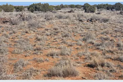 5371 Valley Road #-, Snowflake, AZ 85937 - Photo 14