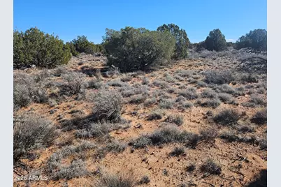 5371 Valley Road #-, Snowflake, AZ 85937 - Photo 16