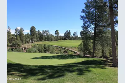 3170 W Lodgepole Lane, Show Low, AZ 85901 - Photo 42