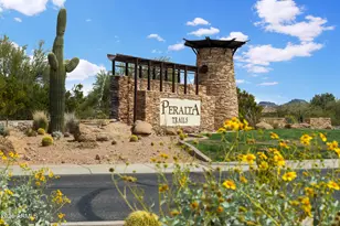 10439 E Trailhead Ct, Gold Canyon, AZ 85118 - Photo 48