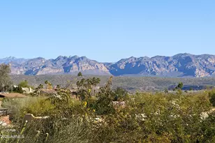 11417 N Cameron Ct, Fountain Hills, AZ 85268 - Photo 20