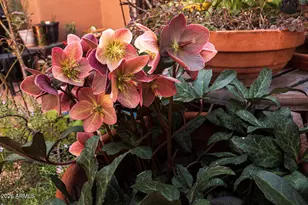 182 Sage Dr, Sedona, AZ 86336 - Photo 34