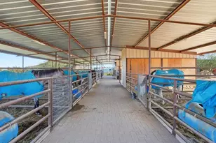 2690 W Gail Rd, San Tan Valley, AZ 85144 - Photo 24