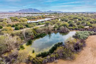 4467 E Tonto Pl, Chandler, AZ 85249 - Photo 100