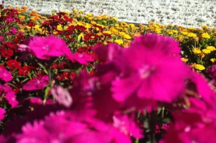 4303 N Spyglass Dr, Florence, AZ 85132 - Photo 46