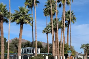 6253 E Catalina Dr, Scottsdale, AZ 85251 - Photo 34