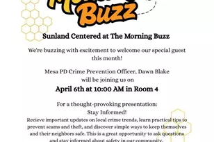 4045 E Capri Ave, Mesa, AZ 85206 - Photo 42