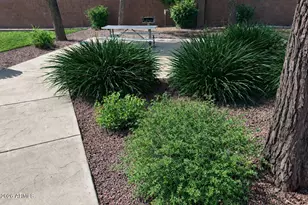 4106 E Chambers St, Phoenix, AZ 85040 - Photo 32