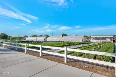 5317 S Axiom --, Mesa, AZ 85212 - Photo 54