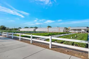 5317 S Axiom, Mesa, AZ 85212 - Photo 54