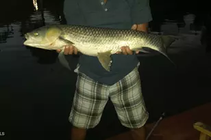 1117 W Lakeridge Dr, Gilbert, AZ 85233 - Photo 40