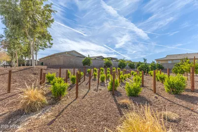 19914 W Devonshire Avenue, Litchfield Park, AZ 85340 - Photo 52