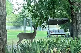 10580 E Swinging Bridge Ln, Cornville, AZ 86325 - Photo 74