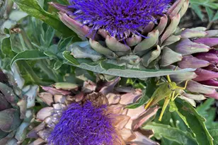 10580 E Swinging Bridge Ln, Cornville, AZ 86325 - Photo 72