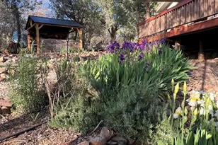 10580 E Swinging Bridge Ln, Cornville, AZ 86325 - Photo 34