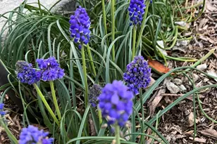 10580 E Swinging Bridge Ln, Cornville, AZ 86325 - Photo 70