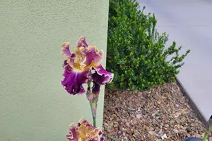 100 Rain Trail Rd, Sedona, AZ 86351 - Photo 48