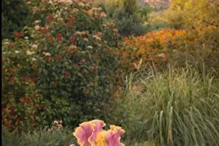 100 Rain Trail Rd, Sedona, AZ 86351 - Photo 38