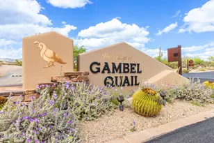 9914 E Palo Brea Dr, Scottsdale, AZ 85262 - Photo 86