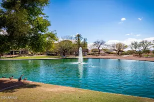 3911 E Shannon St, Phoenix, AZ 85044 - Photo 60