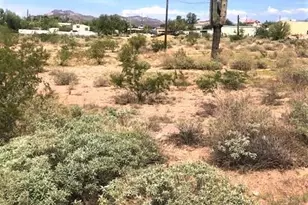 910 E Scenic St, Apache Junction, AZ 85119 - Photo 1