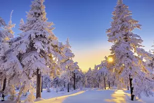 17075 S Teal Pl, Munds Park, AZ 86017 - Photo 44