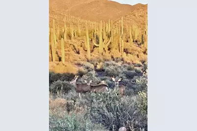 41811 N 72nd -- Street #-, Cave Creek, AZ 85331 - Photo 30