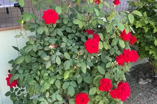 700 W On The Greens Blvd, Cottonwood, AZ 86326 - Photo 36