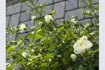 700 W On The Greens Boulevard, Cottonwood, AZ 86326 - Photo 38