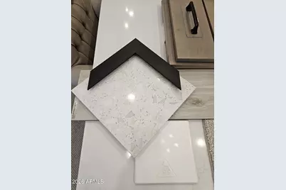 1163 E Palm Beach Drive, Chandler, AZ 85249 - Photo 8