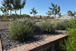 1163 E Palm Beach Dr, Chandler, AZ 85249 - Photo 30