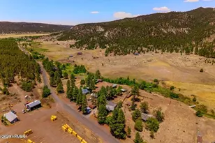 96 Co Rd 2180, Nutrioso, AZ 85932 - Photo 28