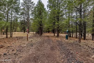 1111 W Sheridan Ave, Williams, AZ 86046 - Photo 20