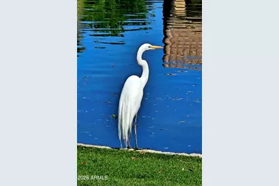 1801 W Lynx Way, Chandler, AZ 85248 - Photo 18