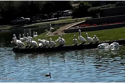 1801 W Lynx Way, Chandler, AZ 85248 - Photo 32