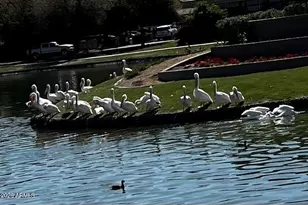 1801 W Lynx Way, Chandler, AZ 85248 - Photo 32