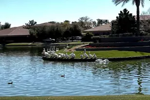 1801 W Lynx Way, Chandler, AZ 85248 - Photo 34