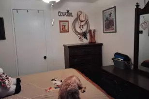 2511 N 56th St, Mesa, AZ 85215 - Photo 20