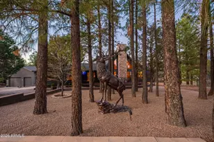 2214 Mountain Lion Ln, Overgaard, AZ 85933 - Photo 1