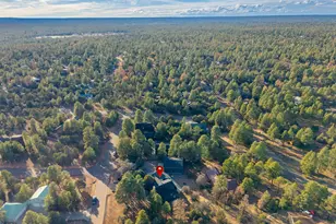 2214 Mountain Lion Ln, Overgaard, AZ 85933 - Photo 80