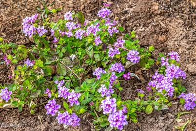 4010 E Coolidge Street, Phoenix, AZ 85018 - Photo 78