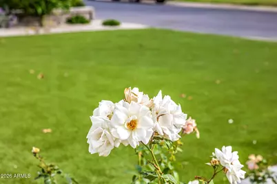 4010 E Coolidge Street, Phoenix, AZ 85018 - Photo 76