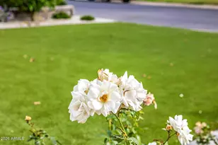 4010 E Coolidge St, Phoenix, AZ 85018 - Photo 76