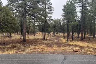 2625 Roundup Ln, Happy Jack, AZ 86024 - Photo 1