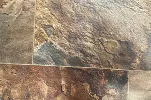 1001 S Kiowa Circle, Apache Junction, AZ 85119 - Photo 10